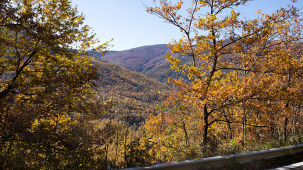 PASSO DEL BRALLO