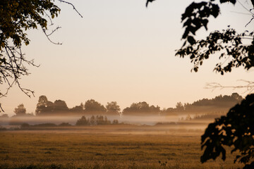 fog spreads over the field in spring