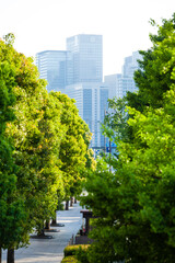 内堀通りから見た丸の内