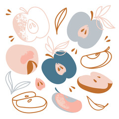 APPLES Sweet Fruit Hand Drawn Flat Design Garden Vector Set