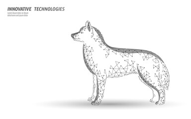 Veterinary clinic dog pet standing alone. Low poly polygonal 3D dog silhouette companion. Animal medical center banner template vector illustration