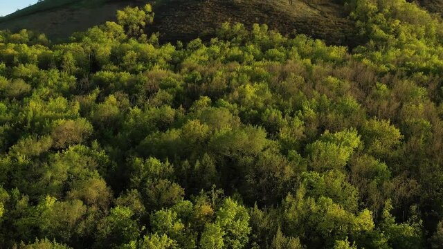 The remain of the reef of the ancient sea, composed of limestone - shikhan Toratau. Aerial view.