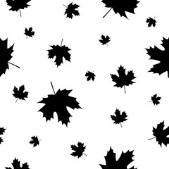 Autumn leave. Autumn. Maple leaves on white background. Black and white seamless pattern.