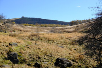 どこまでも広がる野原