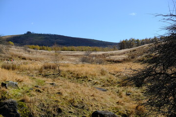 どこまでも広がる野原