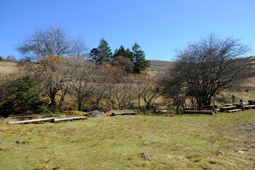 自然の中にある休憩所