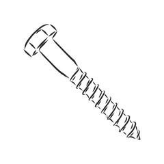 screws, nails isolated on a white background. Vector illustration, metal screw vector sketch illustration