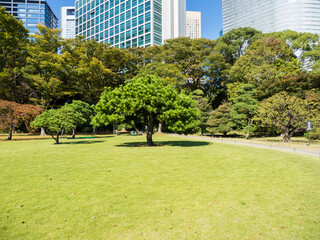 秋晴れの青空広がる東京の浜離宮庭園の風景　10月