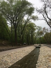 Fototapeta premium path in the park