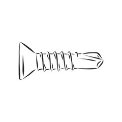 screws, nails isolated on a white background. Vector illustration, metal screw vector sketch illustration