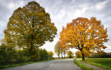 Obraz premium Landstraße im Herbst