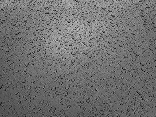 Beautiful Close Up Water Drops On Black Metal Background Gray Wet Texture Abstarct