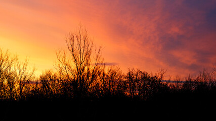 Fototapeta premium Natural Sunset with trees silhouette. Bright Dramatic Sky And Dark Ground. Warm Colours. Tree silhouetted against a setting sun. Photo of the sky. Background with sky