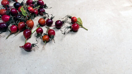 photo of rose hips. red rose hips scattered on craft paper
