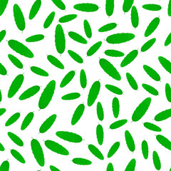 Cucumbers seamless pattern. Vegetables on a white background. Vector illustration.
