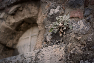 Fragment architektury w opuszczonej  wiosce na wyspie Kos © Monika