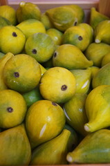 Alabaster fruit in Volterra, Tuscany, Italy