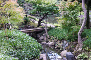 日本庭園 紅葉 公園 橋 木々