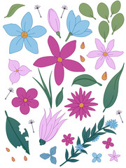 collection of simple flowers with flat flowers and color line