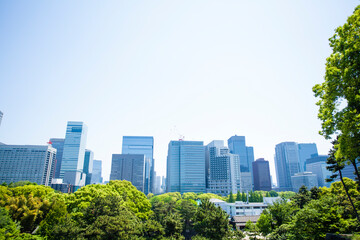 Obraz premium 新緑とビル群