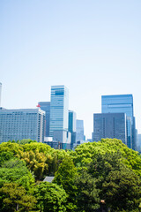 Fototapeta premium 新緑とビル群