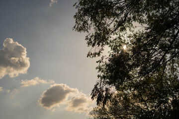Clouds in the sky at sunset