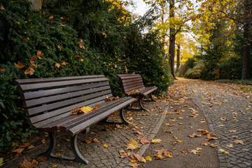 Park path walkway wood bench with autumn fall colorful leaves changing in background no people