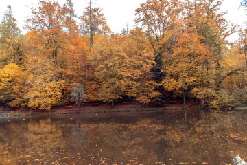 Beautiful Autumn forest with a lake in the front. Trees are reflection on the water