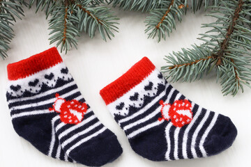 Children's socks and Christmas tree branches. New Years, kids striped socks