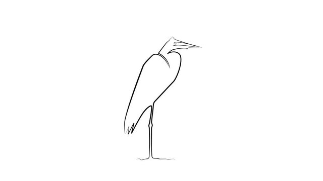 Heron drawn with one line. Black line animation on white background
