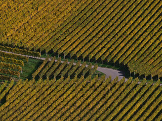 Aerial close-up view of an agricultural road intersection surrounded by patterned vineyards with...