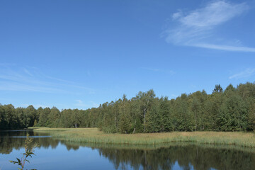 Fototapeta na wymiar Der Moorweiher (Stausee) im Roten Moor in der Rhön 