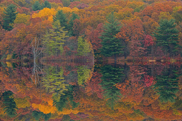 Autumn landscape of the shoreline of Hall Lake with mirrored reflections in calm water, Yankee Springs State Park, Michigan, USA