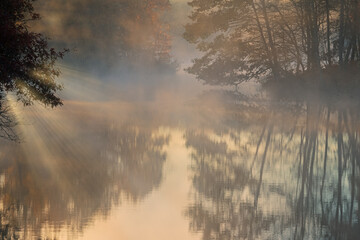 Fototapeta premium Foggy autumn landscape of the shoreline of Eagle Lake with sunbeams, Fort Custer State Park, Michigan, USA