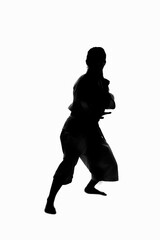 少林寺拳法をする女性のシルエット