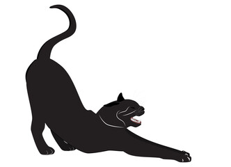 Stretch cat black isolated on white background, vector eps 10