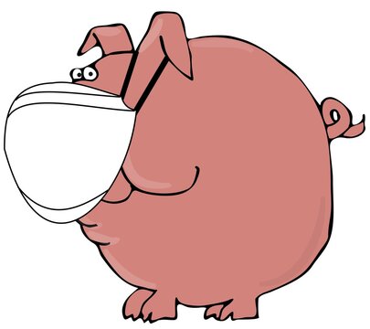 Large pink pig wearing a face mask