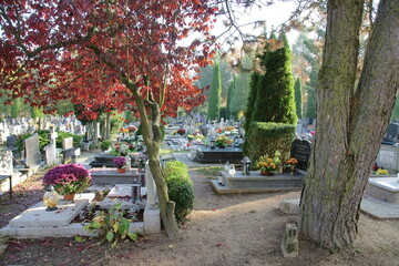 Cmentarz komunalny. Olsztyn. Polska - Mazury - Warmia. © Rafa