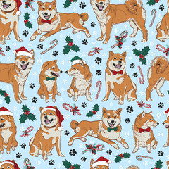 Vector blue shiba inu Christmas dogs seamless pattern with santa hats, holly and candy canes. Perfect for fabric, scrapbooking and wallpaper projects.