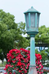 赤いバラとランプ