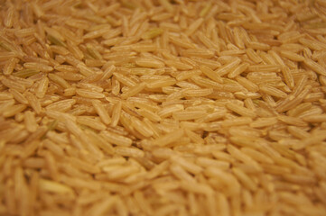 brown rice background food
