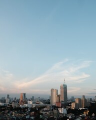 Fototapeta na wymiar Mid Afternoon City Skyline
