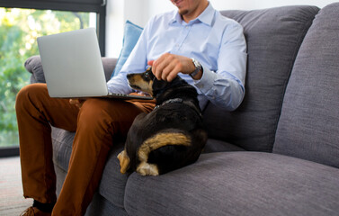 The man works from home. Work during a pandemic or quarantine. Remote work. The man is sitting at home on the couch with his dog and working on a laptop. Freelancer man working from home with his dog.