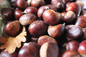 Gruppo di castagne