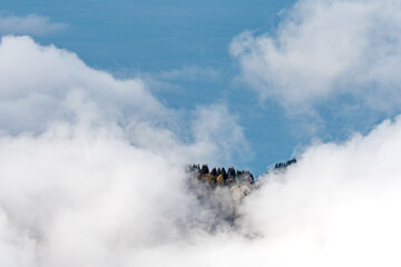 autumn forest in clouds in Chablais Valaisan overlooking Lac Leman