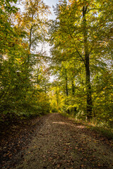 Fantastic autumn hike in the beautiful Danube valley near the Beuron monastery