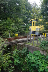 玉川上水を渡る電車
