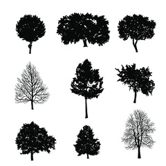 Tree with leaves silhouette. Black and white hand drawn doodle collection. Vector elements set isolated on white background.