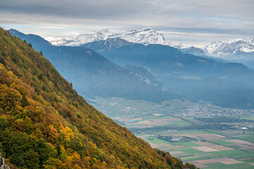 autumn forest in Chablais Valaisan overlooking Valley of the Rhone