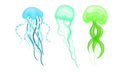 Jellyfish or Sea Jelly as Marine Animal with Umbrella-shaped Bell and Tentacles Vector Set